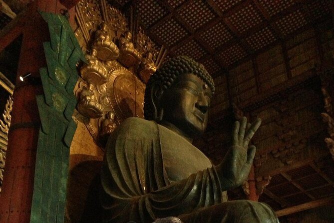 Nara private tour (Shore excursion available from Osaka or Kobe port) - Who Should Consider This Tour?