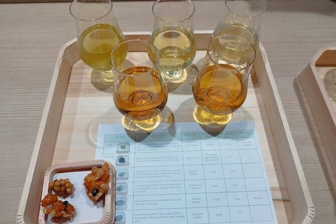 Nara: small group tour to meet your favorite tea - A Deep Dive into the Nara Tea Tour Experience