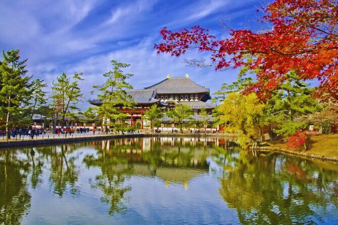 Nara, Todaiji Temple & Kuroshio Market Day BUS Tour from Osaka - Exploring the Day’s Itinerary