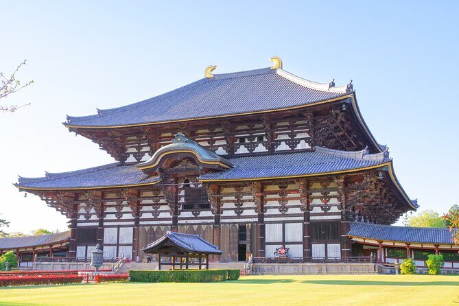 Nara World Heritage PRIVATE TOUR - The Sum Up