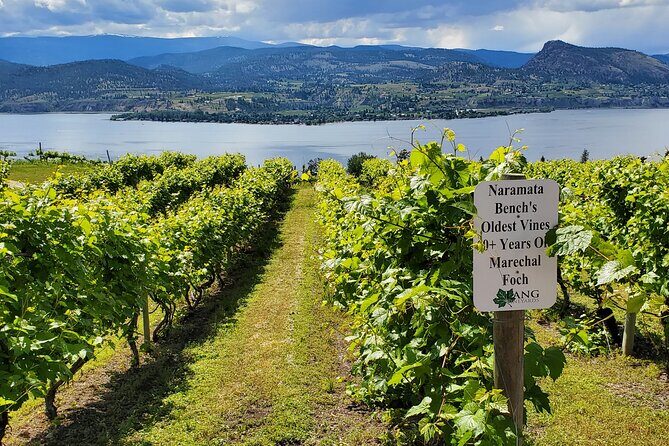 Naramata Private Wine Tour - Half Day - Why This Tour Might Make Your List