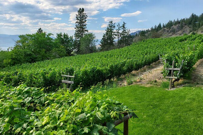 Naramata Public Wine Tour - Half Day - Who Is This Tour Best For?