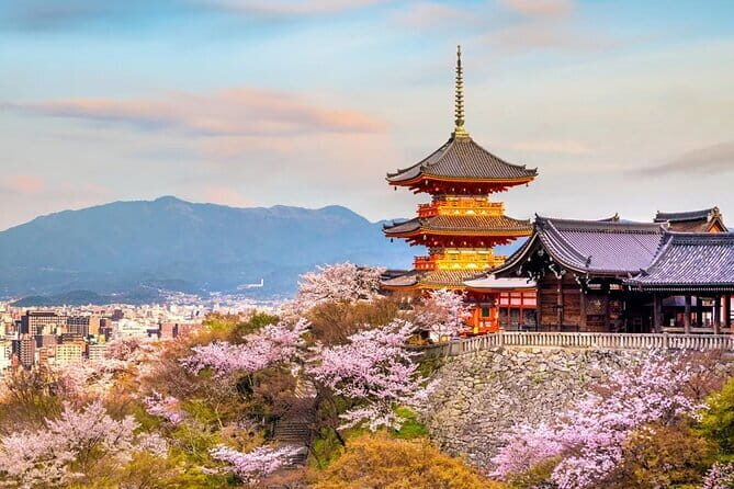Narita Airport to Kyoto City Japan | Private Transfer. - An In-Depth Look at This Transfer Experience