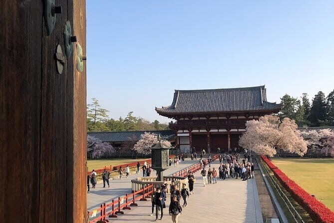 Narita Layover tour with National Licensed guide - Authentic Experiences and Reviewer Insights