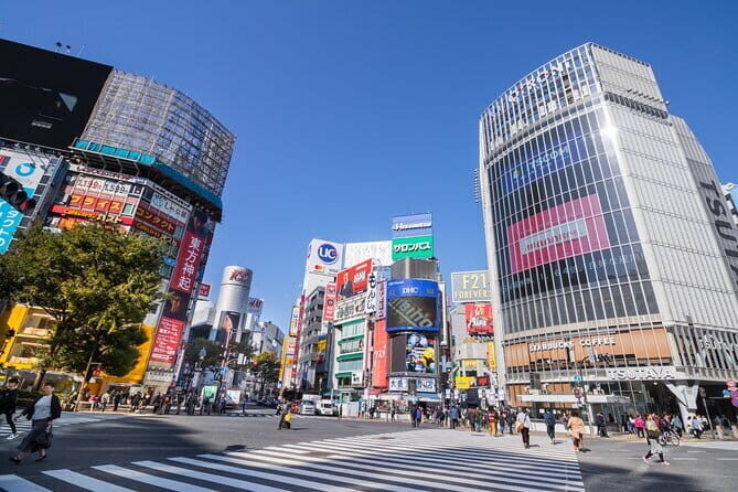 Narita Layover tour with National Licensed guide - Final Thoughts: Is This Tour Right for You?
