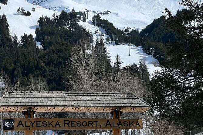 Narrated Alyeska/Girdwood Shuttle From Anchorage - Photo Stops - Comfort, Value, and Practical Considerations