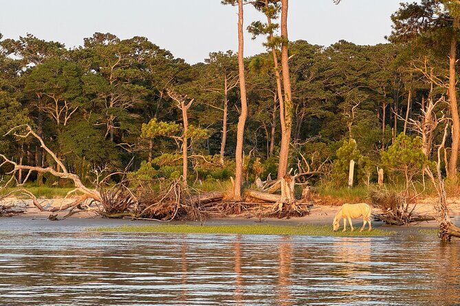Narrated Sunset Wild Pony Cruise in Chincoteague - FAQs