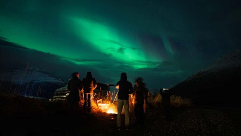 Narvik: Guided Northern Lights Tour with Photography Tips - The Value of This Tour