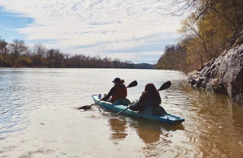 Nashville: Downtown Kayak Rental with Shuttle - The Experience in Detail: What to Expect