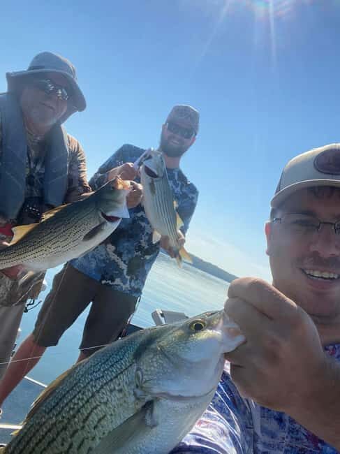 Nashville: Hybrid and Striped Bass Fishing Trip - An In-Depth Look at the Nashville Hybrid and Striped Bass Fishing Trip