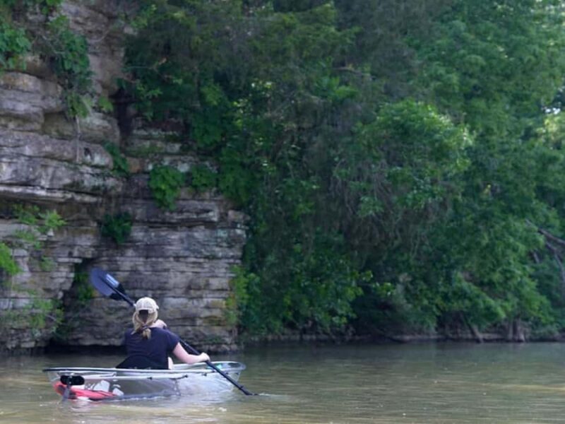 Nashville: Old Hickory Lake Clear Kayak Wildlife Tour - Key Points
