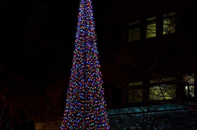 Nashvilles Holiday Harmony: A Private Christmas Melody Tour - Who Will Love This Tour?