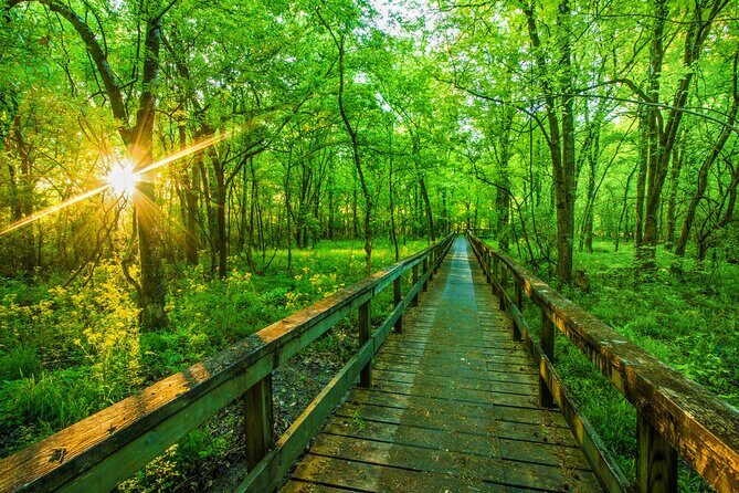 Natchez Trace Parkway Self-Guided Driving Audio Tour - Practical Details for Your Trip