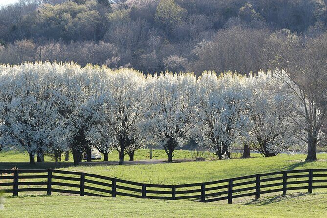 Natchez Trace Parkway Self-Guided Driving Audio Tour - Final Thoughts: Who Will Love This Tour?