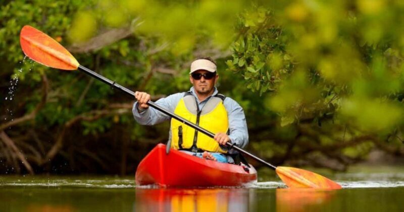 Natick: Lake Cochituate Single or Tandem Kayak Rental - An In-Depth Look at Kayaking Lake Cochituate