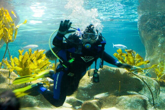 National Aquarium of New Zealand in Napier General Admission - Key Points