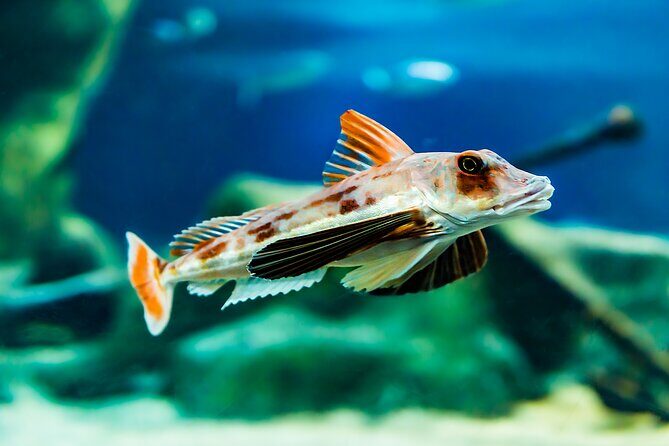 National Aquarium of New Zealand in Napier Native Icons Tour - An In-Depth Look at the Tour Experience