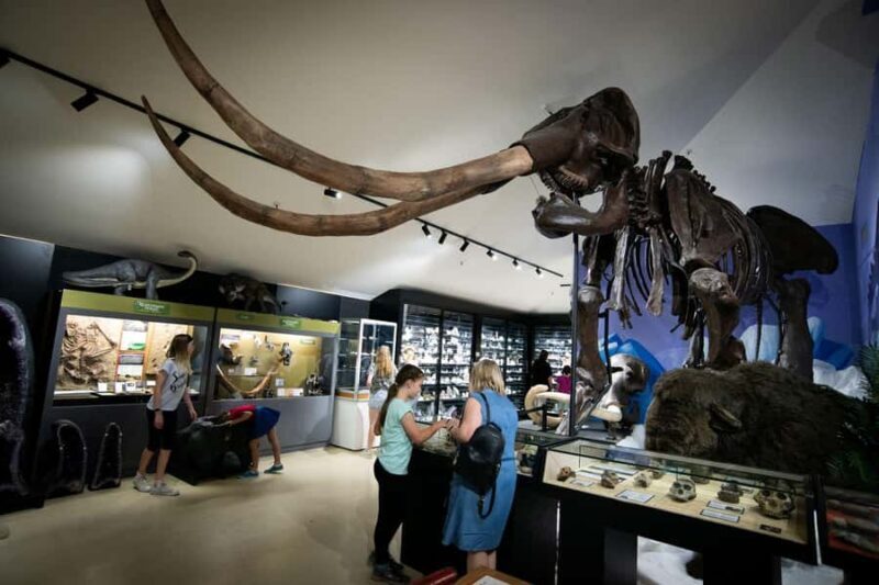 National Dinosaur Museum - Entry Ticket - Final Thoughts