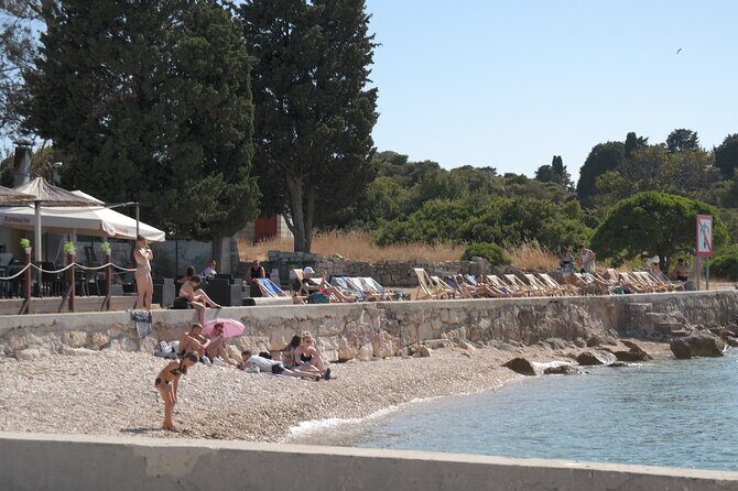 National Park Brijuni Tour with Swimming on St. Jerolim Island - Authentic Feedback from Travelers