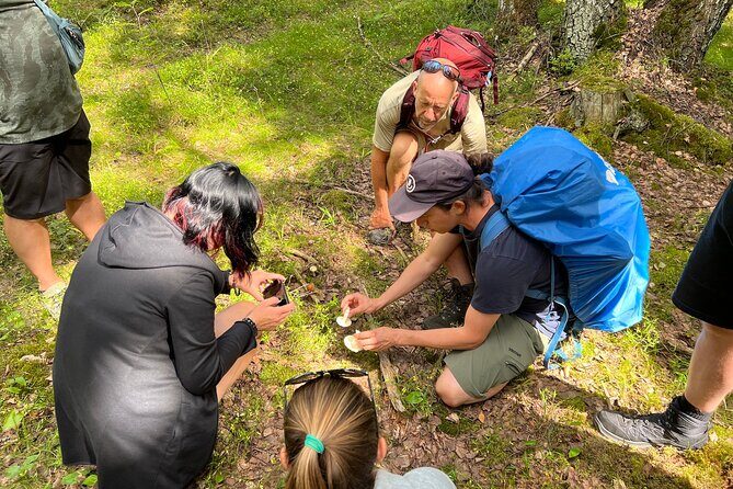 National Park Hike & Finnish Smoke Sauna Experience with Campfire Lunch - FAQs