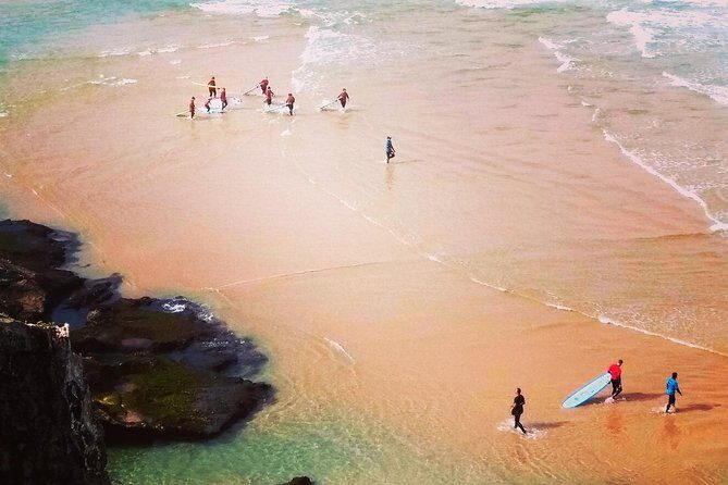 National Park West Coast Half Day Tour from Lagos - Who Will Love This Tour?