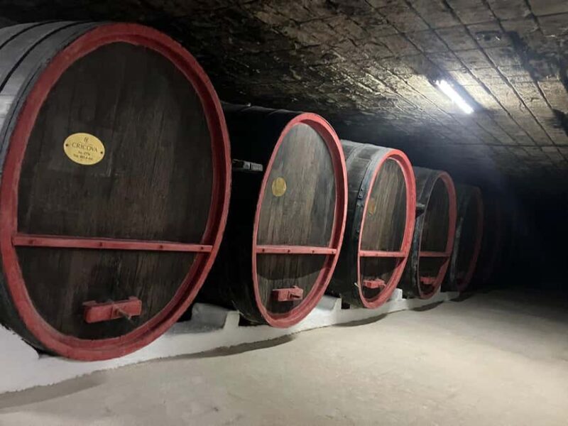 National Wine Day Celebrations In Moldova - Key Points