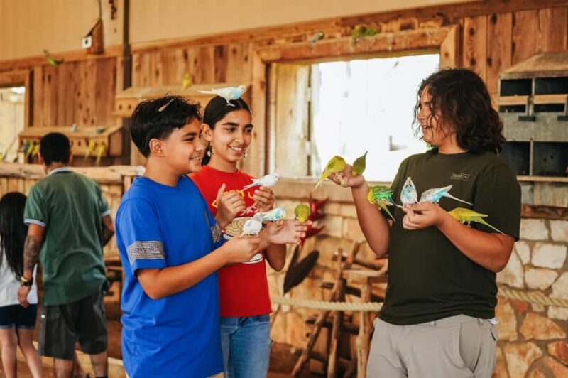 Natural Bridge Wildlife Ranch: Self-Guided Safari Drive-Thru - Analyzing the Value