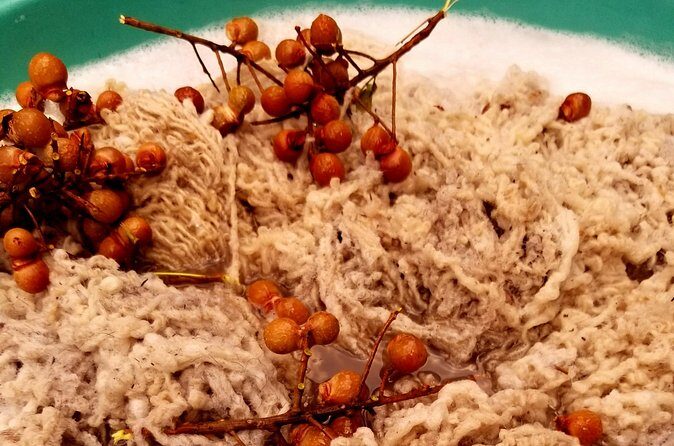 Natural Dyeing and Organic Weaving Workshop in Oaxaca - Who Will Love This Tour?