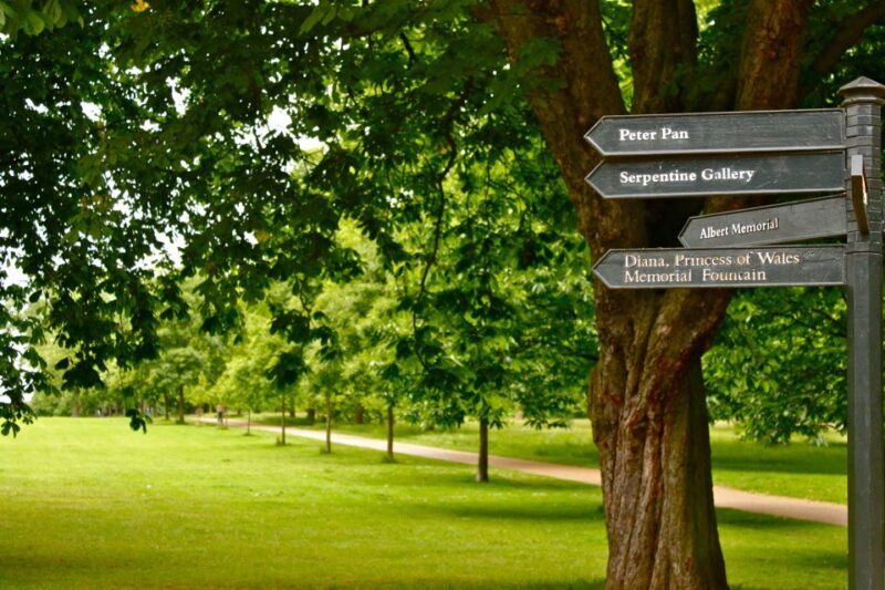 Natural History Museum e Kensington Garden - An Up-Close Look at the Experience