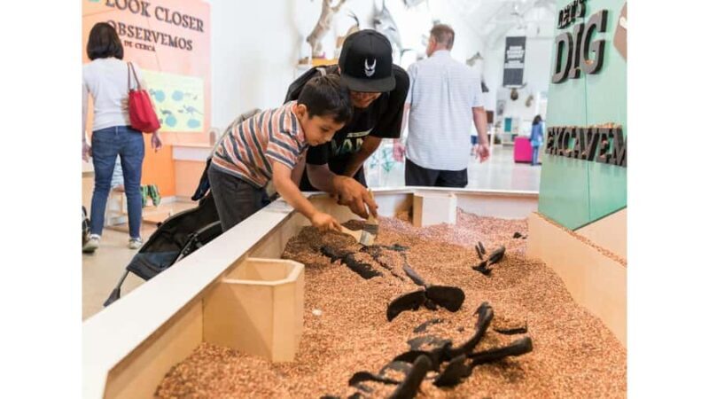 Natural History Museum LA: Entry + Fierce! The Story of Cats - Key Points