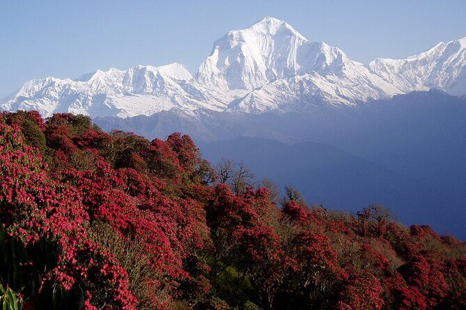 Natural Hot Spring Trek from Kathmandu - An In-Depth Look at the Trek Experience