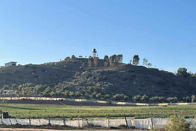 Natural Hot Springs Horseback Riding and Carne Asada Experience - Who Should Consider This Tour?