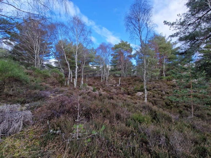 Natural Landscapes of Aberdeenshire and the Cairngorms - Final Thoughts
