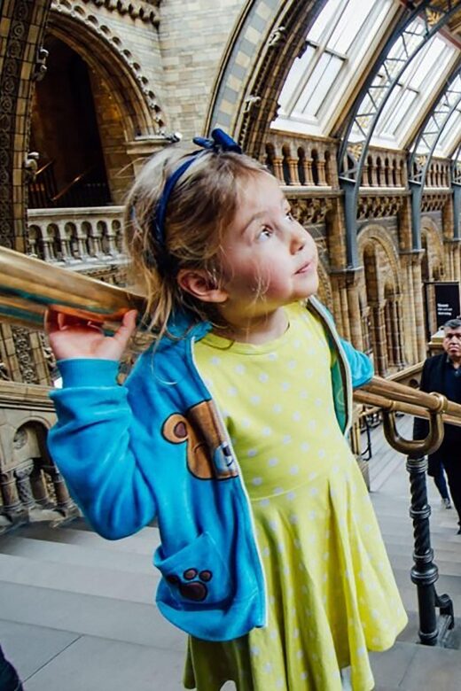 Natural Museum Adventure: Gems, Volcanoes, Dinosaurs - Key Points