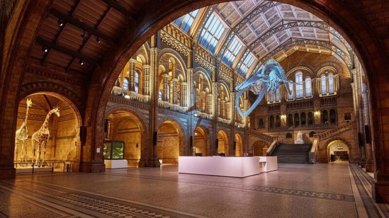Natural Museum Adventure: Gems, Volcanoes, Dinosaurs - An In-Depth Look at the Natural Museum Tour