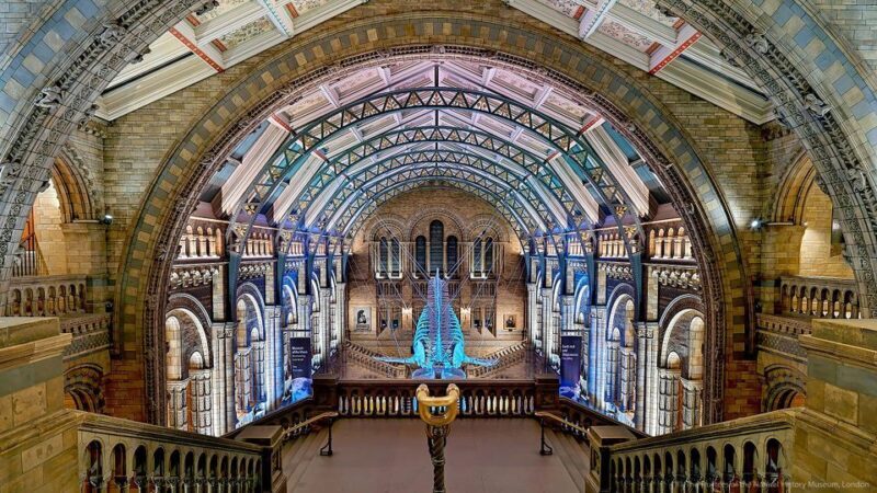 Natural Museum Adventure: Gems, Volcanoes, Dinosaurs - Final Thoughts