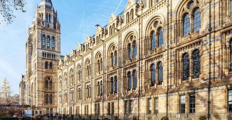 Natural Museum: Diplodocus to Blue Whale Wonders - Final Thoughts: Is It Worth It?