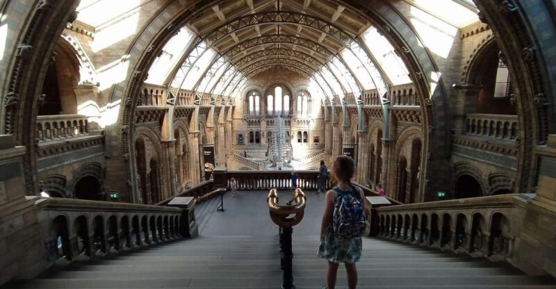 Natural Museum: Diplodocus, Volcanoes, Whale, and Gems - Who Will Love This Tour?