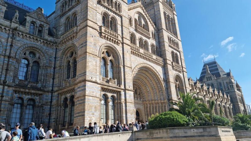 Natural Museum Secrets: Diplodocus, Blue Whale, Evolution - Why This Tour Is a Great Choice