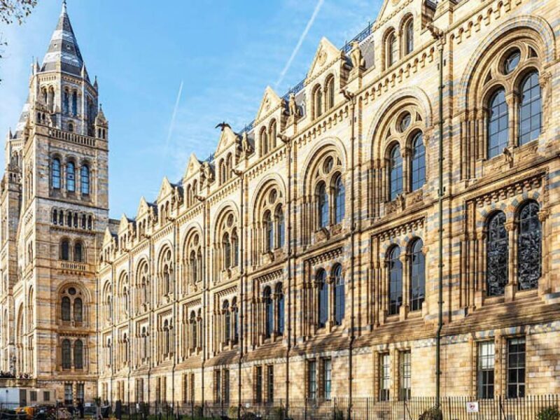 Natural Museum Tour: Volcanoes, Earthquakes, Blue Whale - Key Points