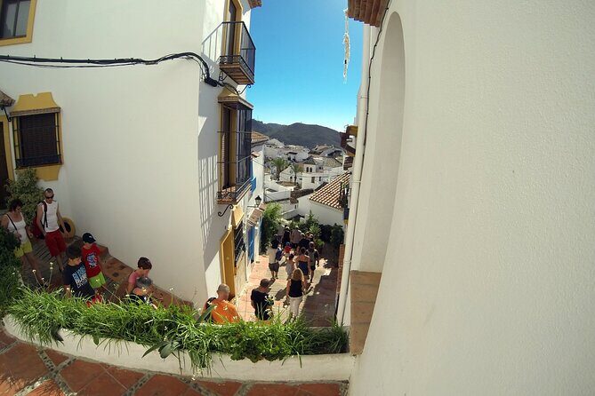 Natural Parck Jeep Eco Tour from Costa del Sol - Final Thoughts