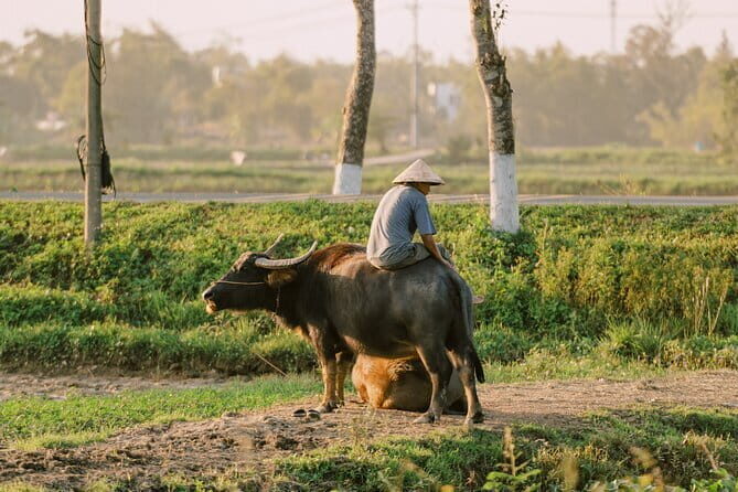Nature Adventure Private Tour by Electric Car - Tra Que Vegetable Village