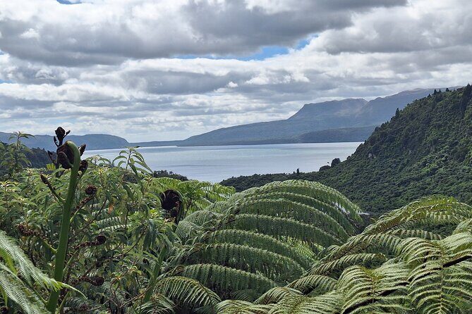 Nature at its best Lake Tarawera Treetop Walk and Forest Spas - Exploring the Itinerary in Detail