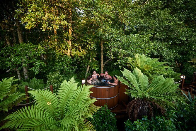 Nature at its best Lake Tarawera Treetop Walk and Forest Spas - Who Should Consider This Tour?