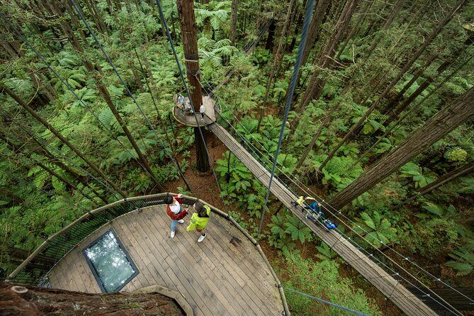 Nature at its best Lake Tarawera Treetop Walk and Forest Spas - FAQ