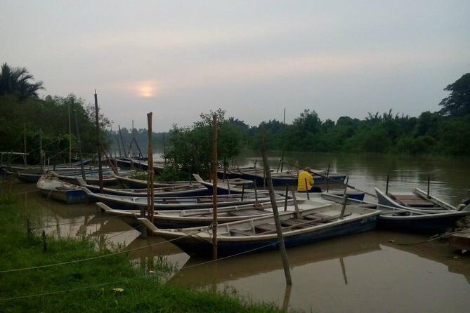 Nature At The Riverbank, Fireflies Watching By Row Boat (Guided) - Key Points