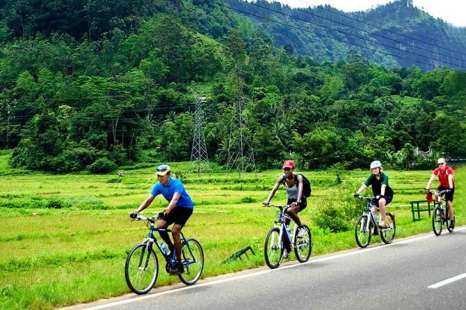 Nature cycling trail: paddy fields, cinnamon forests and villages  Galle - Key Points