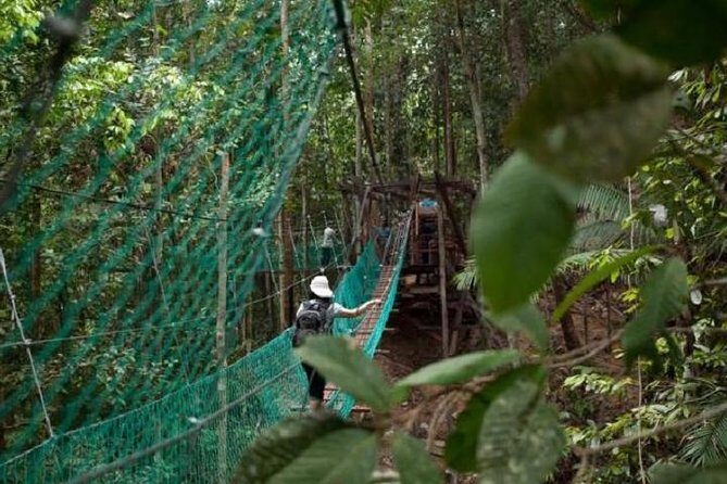 Nature Excursion in Borneo Tropical Rainforest Resort - Key Points