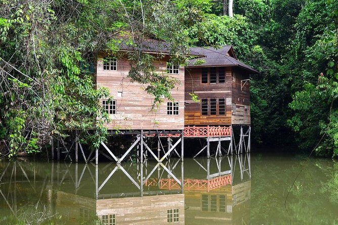 Nature Excursion in Borneo Tropical Rainforest Resort - Final Thoughts