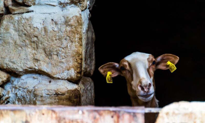 Nature Highlights Private Walking Tour with Transport - What to Expect from the Tour Experience